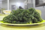 Alge, namirnice bogata vitaminima